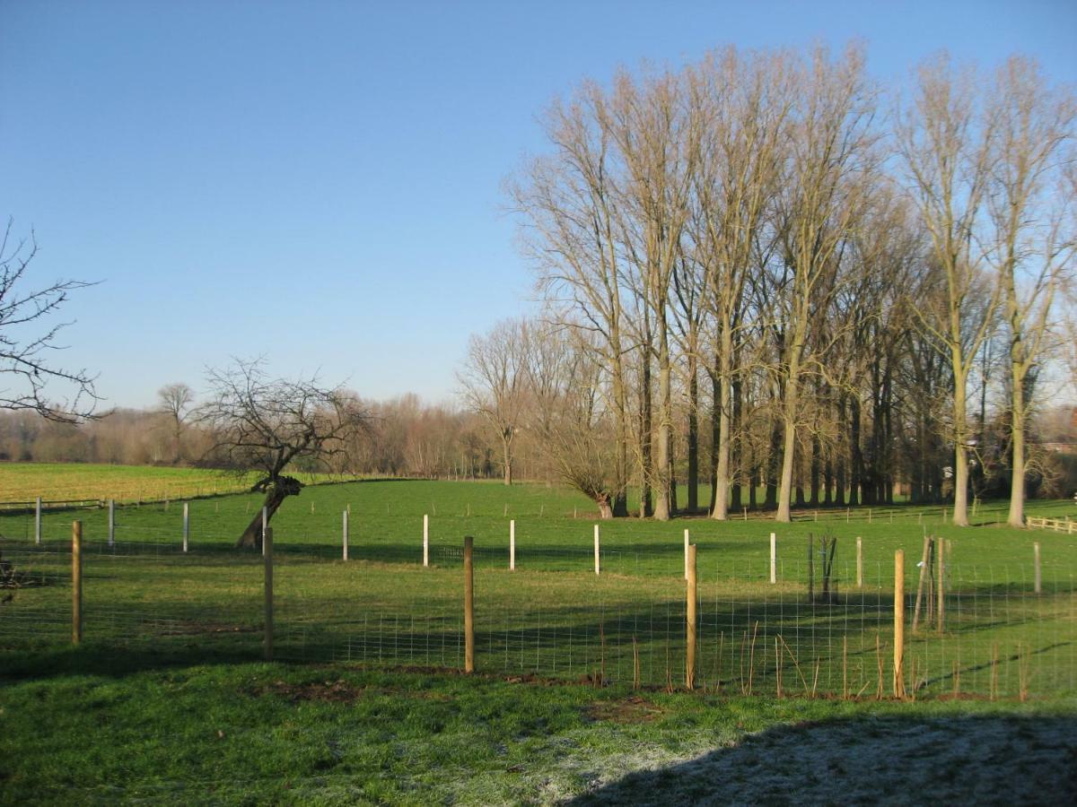 Zottegem Vakantiewoning Tilia מראה חיצוני תמונה